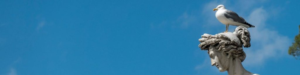 Seagull sitting on the head of an ancient statue against a clear blue sky.
